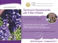28 Agosto-4 Settembre Seminario Ischia