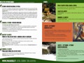 Programma